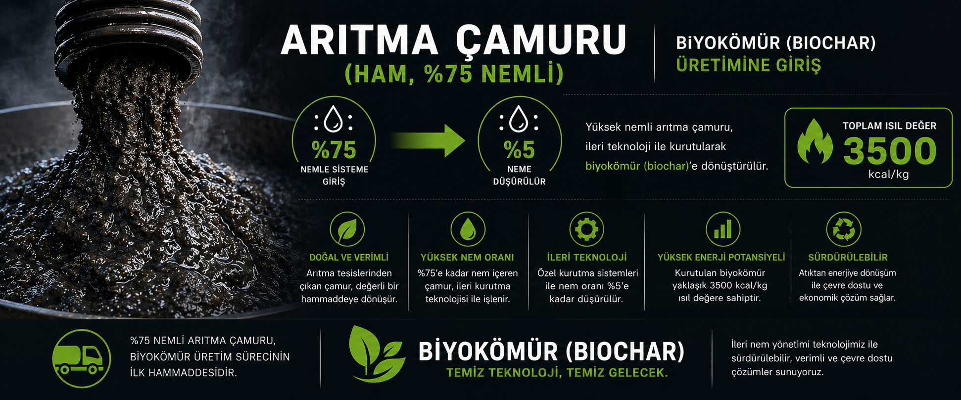 Biyokömür Stinga
