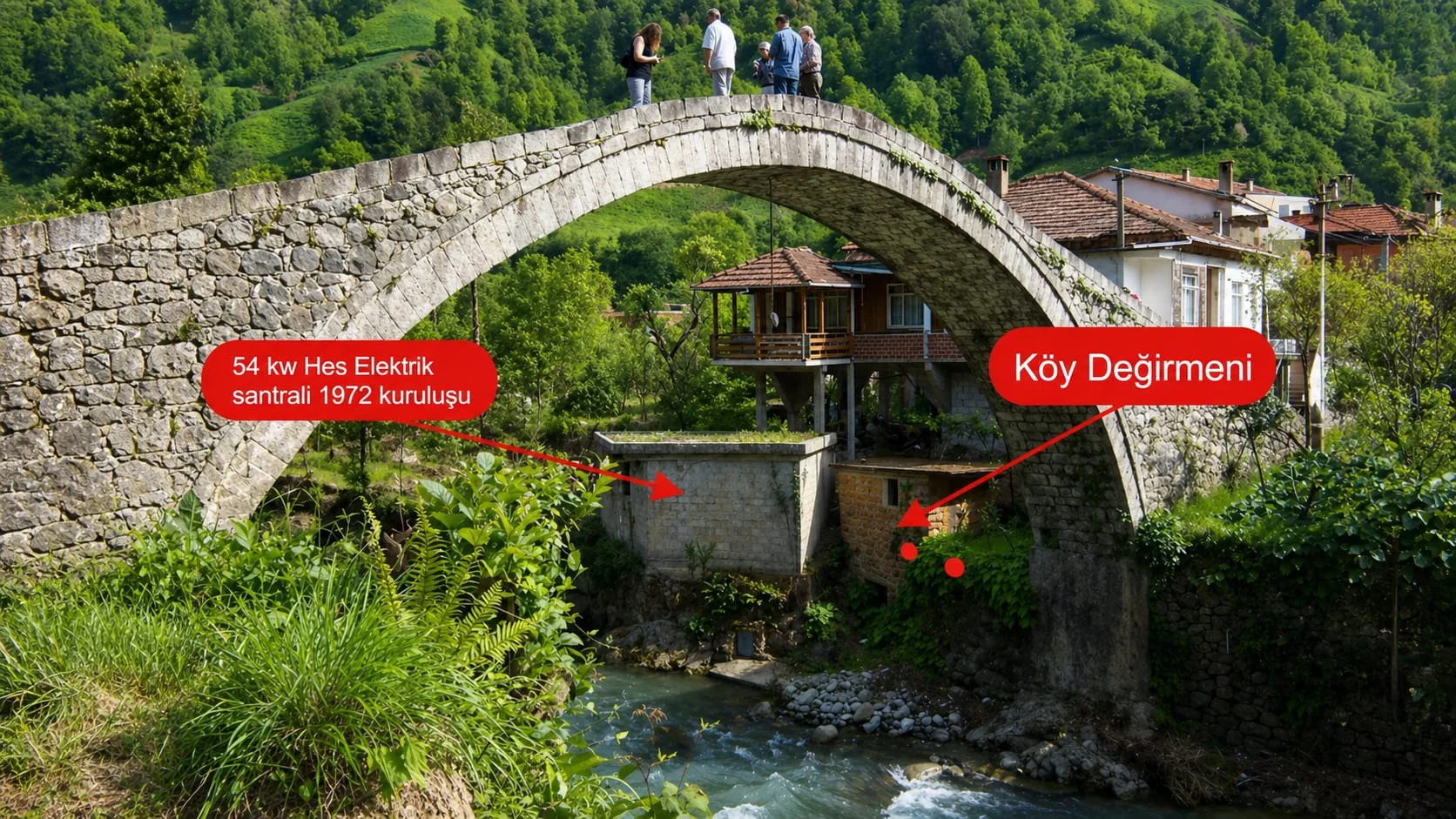 Şenol Faik Özyaman gençlik