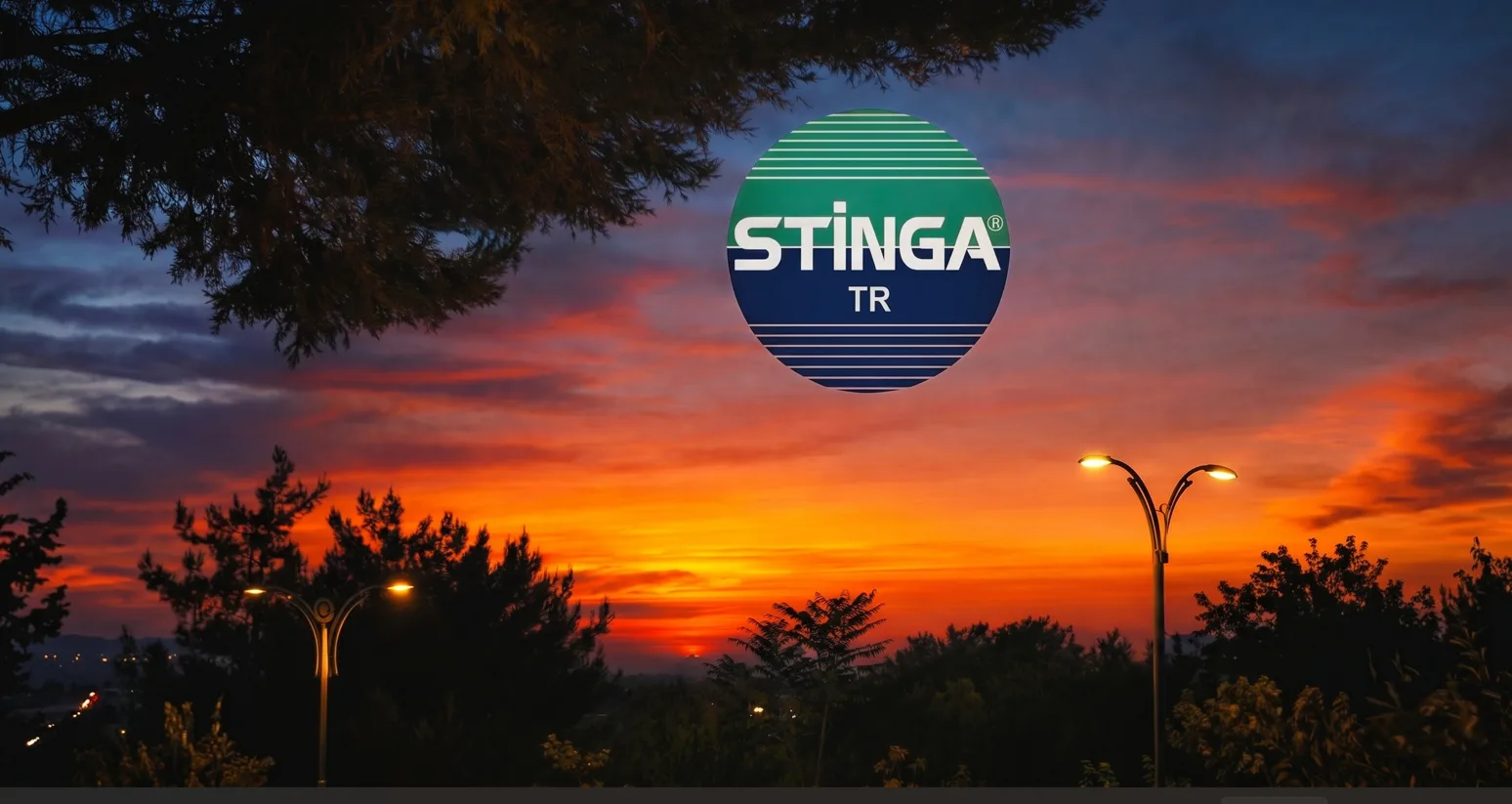 Stinga Enerji